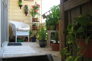 5 простых идей озеленения балконов