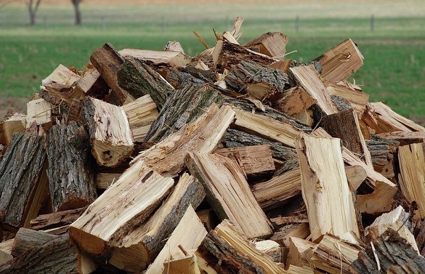 Какими дровами лучше всего топить дом
