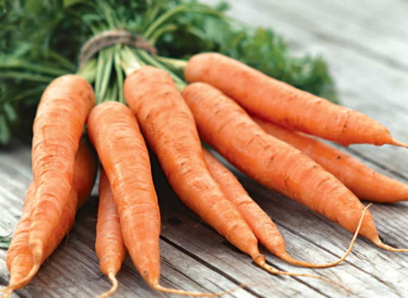 Морковь: сорта, уход, подкормка